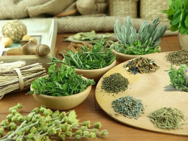 Phytotherapy mo te powhiri