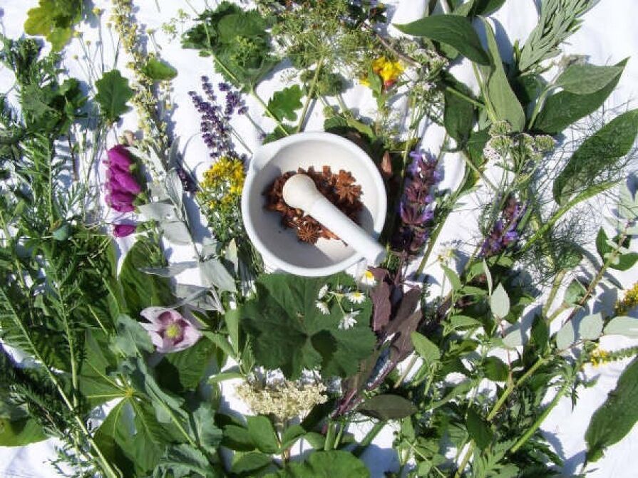 Herbs mo te tuākana